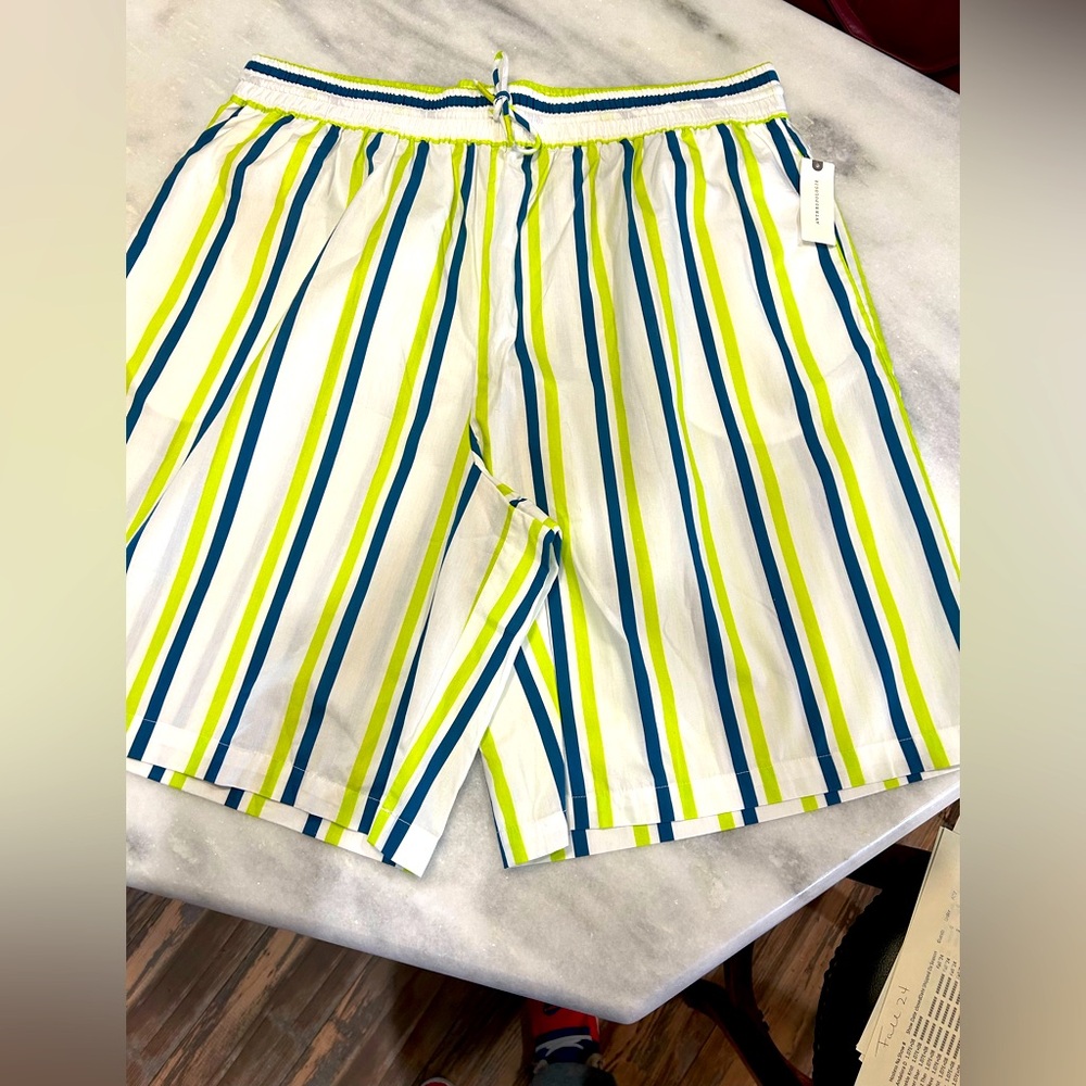 Anthropologie High Waist Striped Shorts - Blue, Green, White